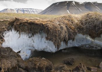 El deshielo del permafrost provoca rápidos cambios en el fondo marino ártico