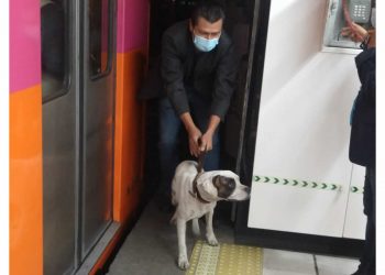 Rescate de perro y presencia de humo retrasa avance en Línea 1 del Metro