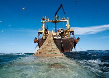 Estados Unidos y México dialogan sobre protección de ecosistemas marinos y pesca ilegal