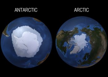 Polos registran temperaturas históricas arriba del promedio
