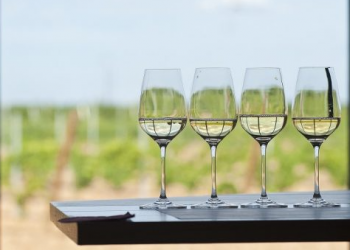 Pilar Meré: los vinos de rueda