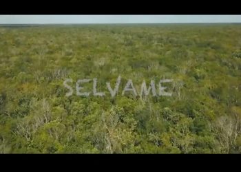 Están mal informados, dice Sheinbaum sobre video “Selvame del tren”