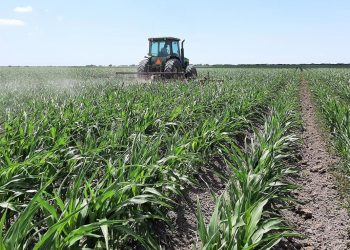 Sader y Conagua atienden a productores del bajo Río Bravo de Tamaulipas, afectados por la sequía