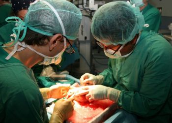 Más de 12 mil mexicanos esperan un trasplante de riñón