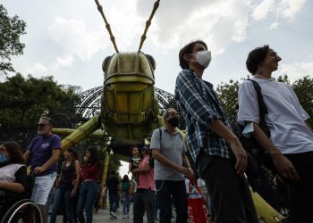 Insectos gigantes inundan el Bosque de Chapultepec