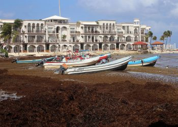 Autoridades prevén una “alarmante” llegada de sargazo a las costas mexicanas