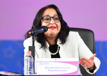 Panaut significaba una injerencia arbitraria a la privacidad de las personas: Piña