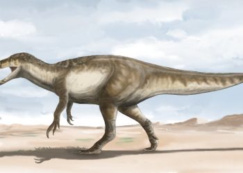 Descubren restos del dinosaurio más grande conocido hasta el momento