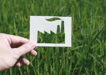 Greenwashing: prácticas mercadotécnicas para engañar al consumidor