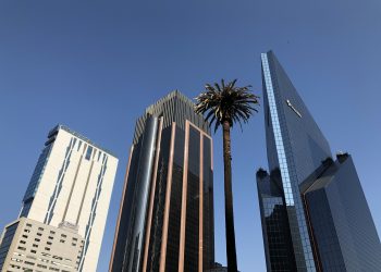 Fue despedida la palmera de Paseo de la Reforma