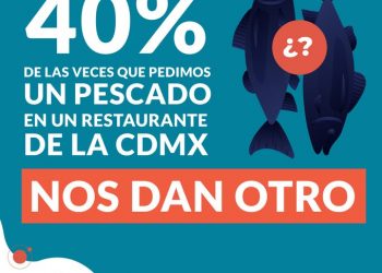 40% de las veces que se pide un pescado en un restaurante te dan otra especie: Oceana México