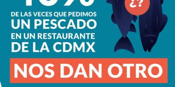 40% de las veces que se pide un pescado en un restaurante te dan otra especie: Oceana México