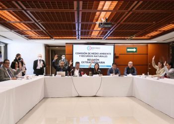 Avanza Reforma Eléctrica; la Comisión de Medio Ambiente dio visto bueno