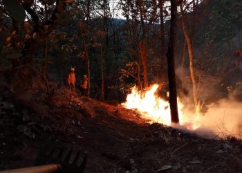 Probosque, Conafor y Protección Civil combaten incendio en Edomex