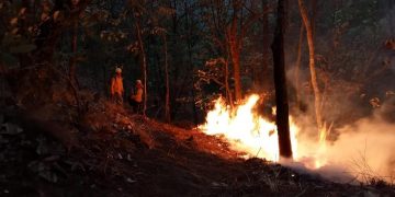 Probosque, Conafor y Protección Civil combaten incendio en Edomex