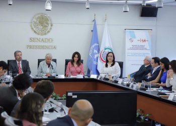 Posición de México en el Consejo de Seguridad es firme: de la Fuente