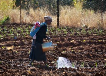África occidental sufre su peor crisis alimentaria en diez años