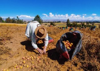 Congreso Agrario Permanente demanda liberar recursos de magnas obras de la actual administración para sacar de la crisis al campo