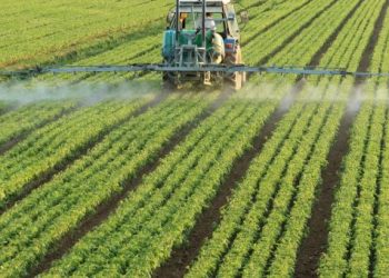 El maíz ha incrementado en un año 126%, el trigo 117% y la soya 93%: Anaya