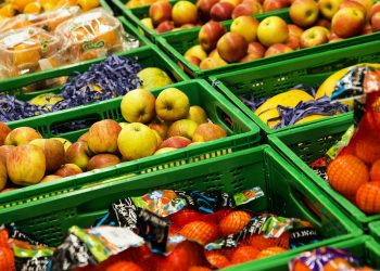 FMI, ONU y otros organismos piden al mundo actuar ante falta de alimentos