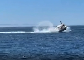 Una ballena choca con embarcación y deja varios heridos en Baja California