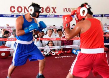 Realizarán entrenamientos previos a la Clase Masiva de Box en la CDMX