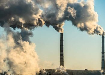 Contener la degradación ambiental evitaría hasta 13 millones de muertes