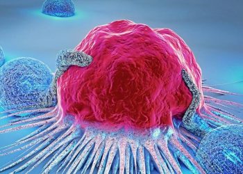 Hallan anticuerpo que frena la propagación de tumores