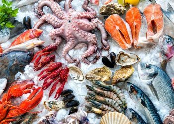 En México los consumidores son engañados 1 de cada 3 veces al comprar pescado en restaurantes, marisquerías y supermercados: Oceana