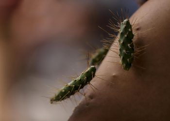 Icónica procesión de hombres encadenados regresa a Puebla