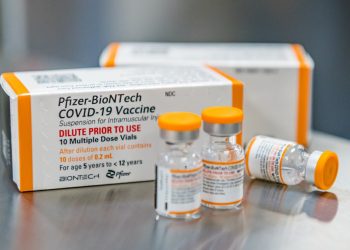 México podría adquirir vacunas pediátricas Pfizer: OPS