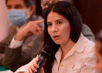 Expulsan del PVEM a la diputada Alexis Gamiño por no votar con Morena