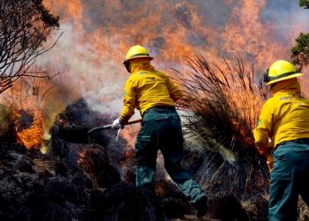 El sábado se registraron 20 incendios forestales en la CDMX