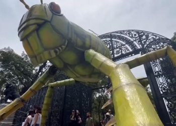 Insectos monumentales tomará las instalaciones del Bosque de Chapultepec: Mónica Pacheco
