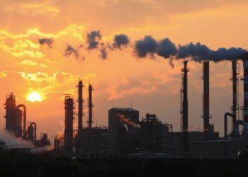 Hábitos mas saludables pueden reducir las emisiones de efecto invernadero un 3.5% a nivel mundial