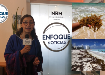 Las 5 de Enfoque Noticias