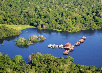 El entorno amazónico de Mamirauá es la primera reserva monitoreada del mundo