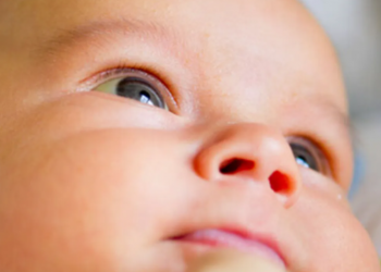 No tenemos registro de un sólo caso de ojos dañados por algún aparato con pantalla: especialista