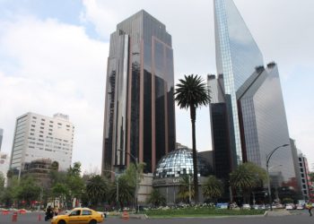 Este domingo será retirada la palma que adorna la glorieta del mismo nombre sobre Paseo de la Reforma