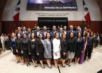 El PAN en el Senado presentó denuncia penal en la FGR contra Javier May por daños  ambientales provocados por nuevo trazo del Tren Maya