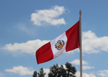 Gobierno peruano envía a Congreso proyecto de castración química a violadores