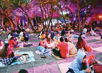 Cerca de 5 mil personas acuden a Picnic nocturno en Chapultepec