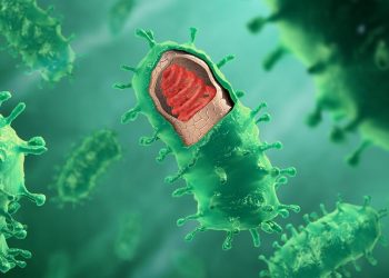 Cambio climático aumentará el salto de virus de animales a humanos