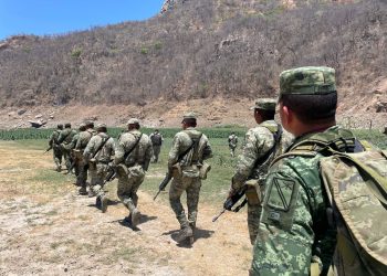 Ejército y Fuerza Aérea localizan y destruyen más de 11 hectáreas de plantíos de mariguana en Durango