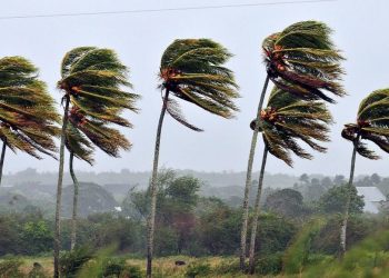 México prevé “temporada activa” de ciclones y cinco podrían impactar al país