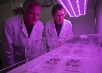 Científicos cultivan por primera vez plantas en suelo procedente de la Luna