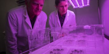 Científicos cultivan por primera vez plantas en suelo procedente de la Luna