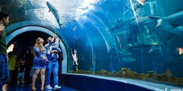 Gobierno estatal toma control del Acuario de Veracruz