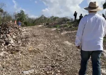 Recorrido a zonas donde pasará el Tren Maya reveló la gravedad de no tener una manifestación de impacto ambiental: Álvarez Icaza