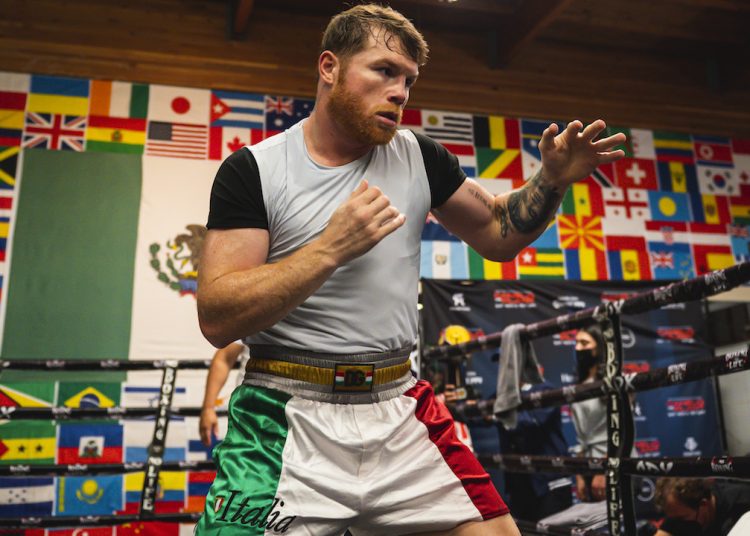 SAN DIEGO, CA - OCTOBER 20:  WBA, WBO, WBC and The Ring super middleweight title holder Canelo Alvarez boxes during his media workout at Canelo's Gym on October 20, 2021 in San Diego, California. (Photo by Matt Thomas/Getty Images)